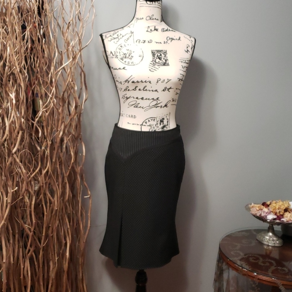 The Limited  Skirt